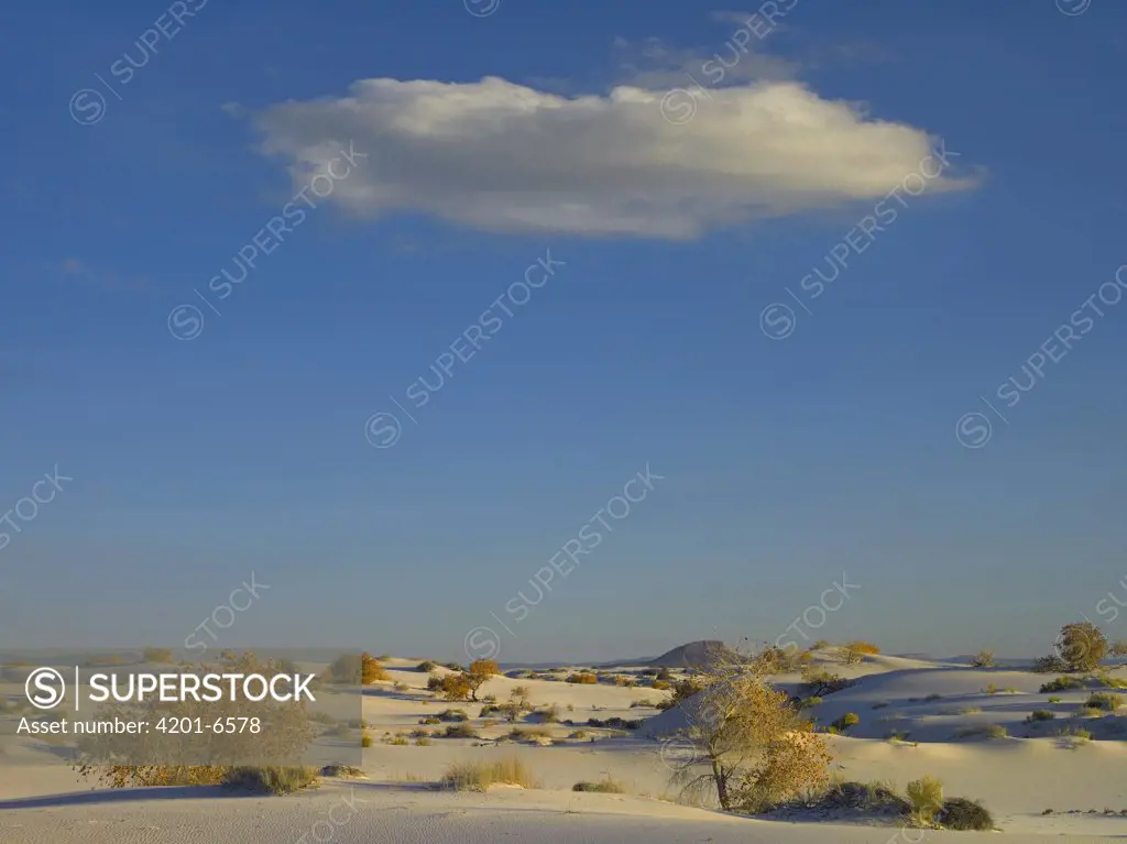 Cloud over White Sands National Monument, Chihuahuan Desert, New Mexico
