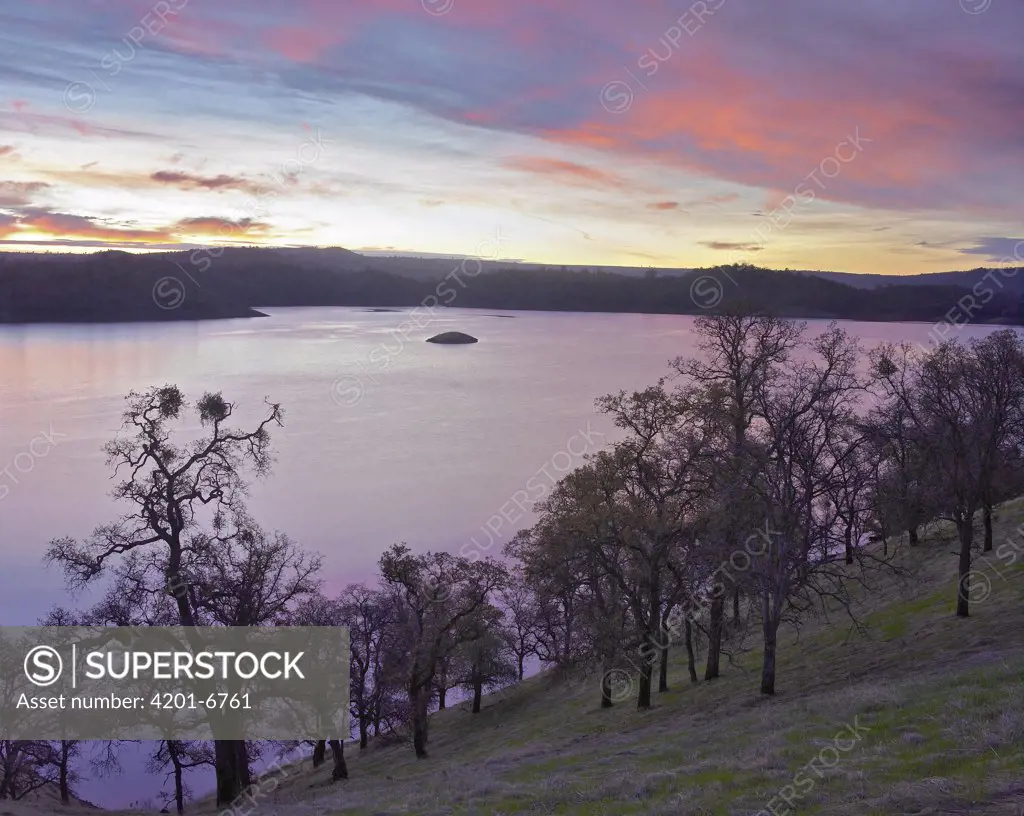 New Melones Lake surrounded by Oak woodlands, man-made reservoir managed by Central Valley Project, Calaveras County, California