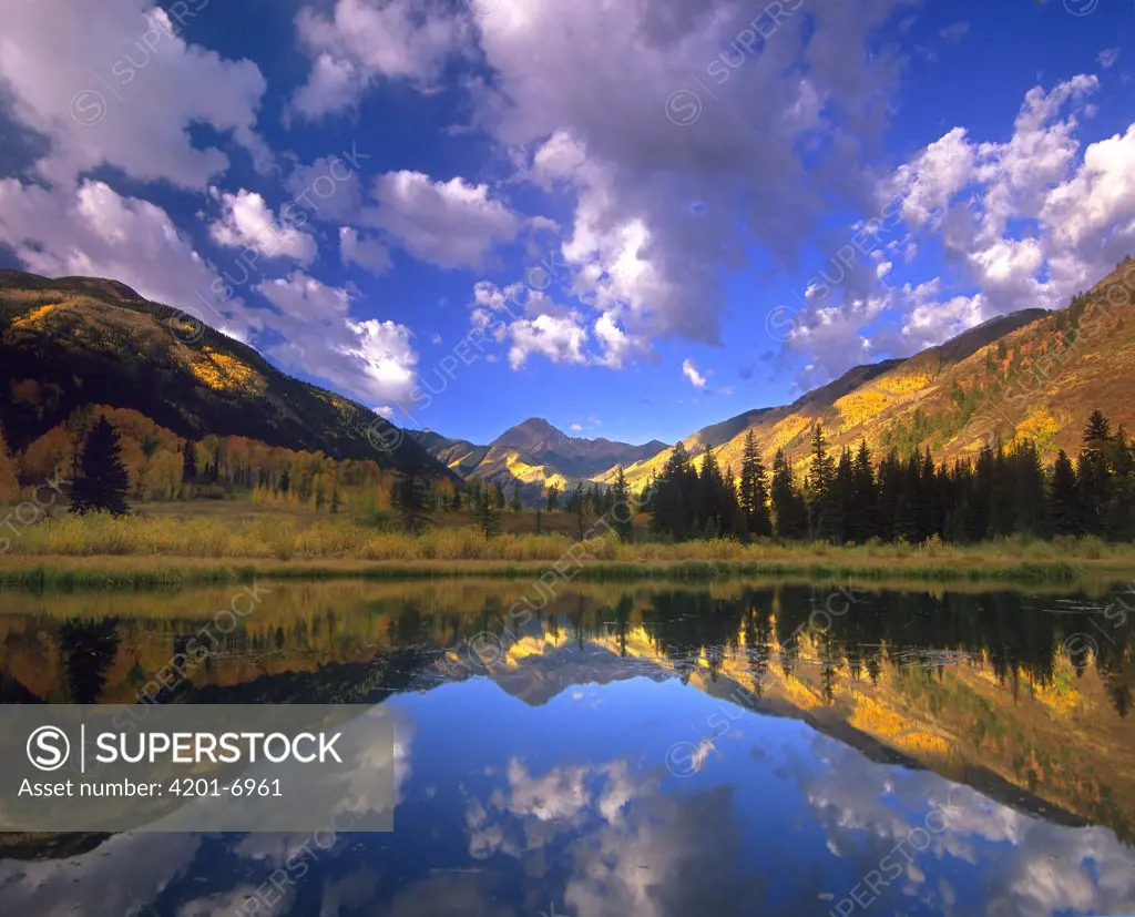 Haystack Mountain reflected in beaver pond, Maroon Bells, Snowmass Wilderness, Colorado