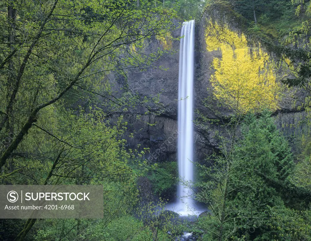 Latourell Falls, Columbia River Gorge near Portland, Oregon