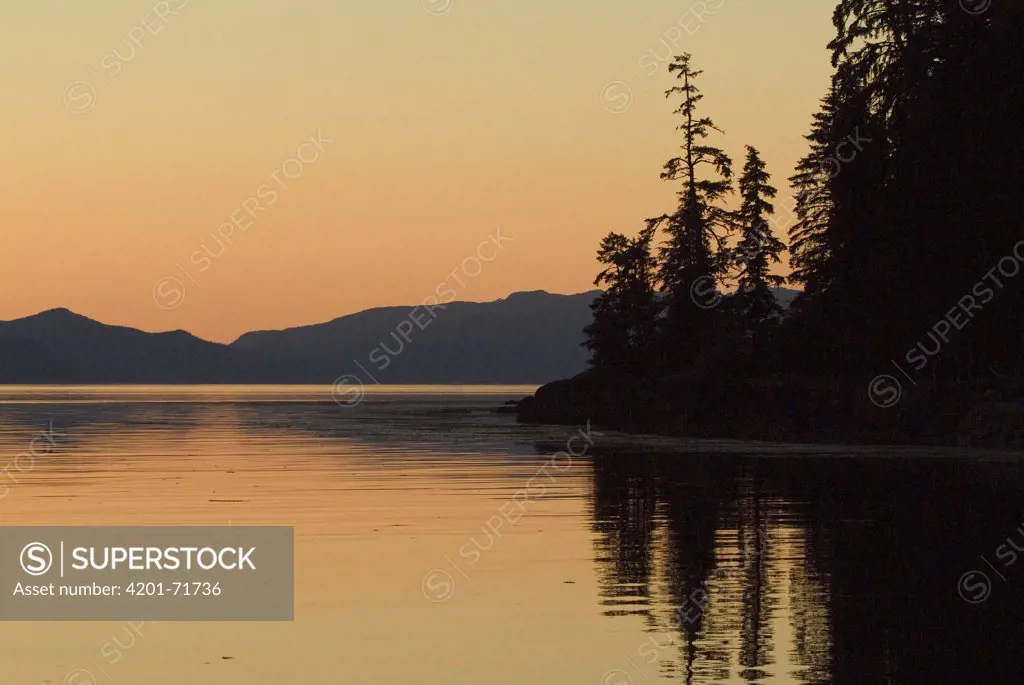 Calm bay at sunset surrounded by boreal forest, southeast Alaska