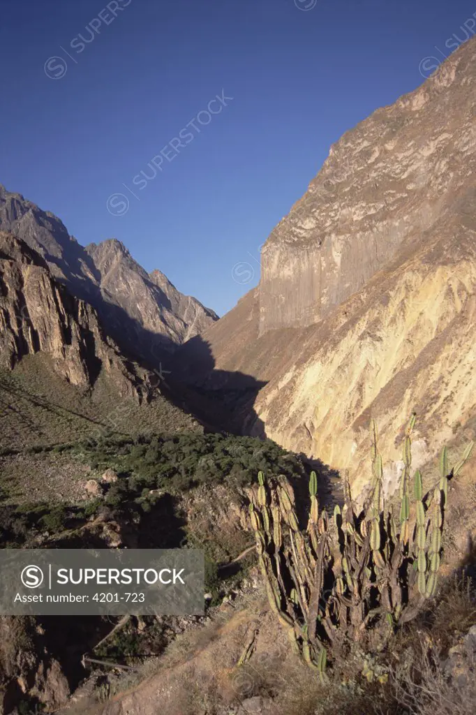 Afternoon sun revealing varied geology, 3400 meter deep canyon, Colca Canyon, Peru