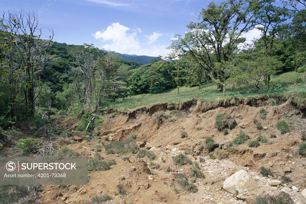 Erosion damage caused by hurricane Mitch, Monteverde Cloud Forest Reserve, Costa Rica