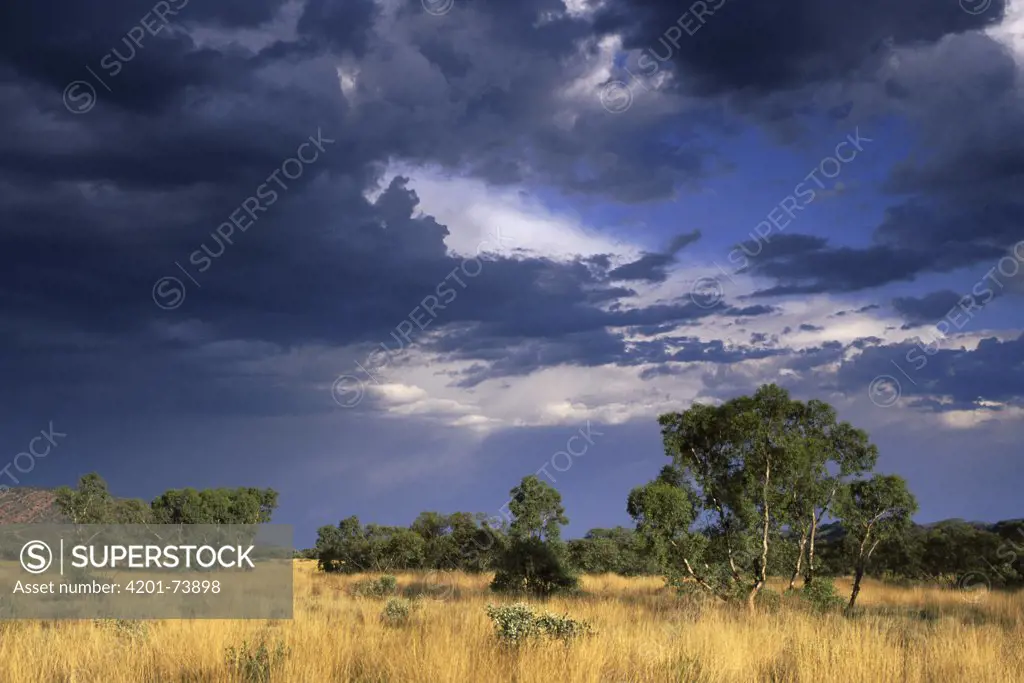 Storm over the MacDonnell Ranges during the wet season, Northern Territory, Australia