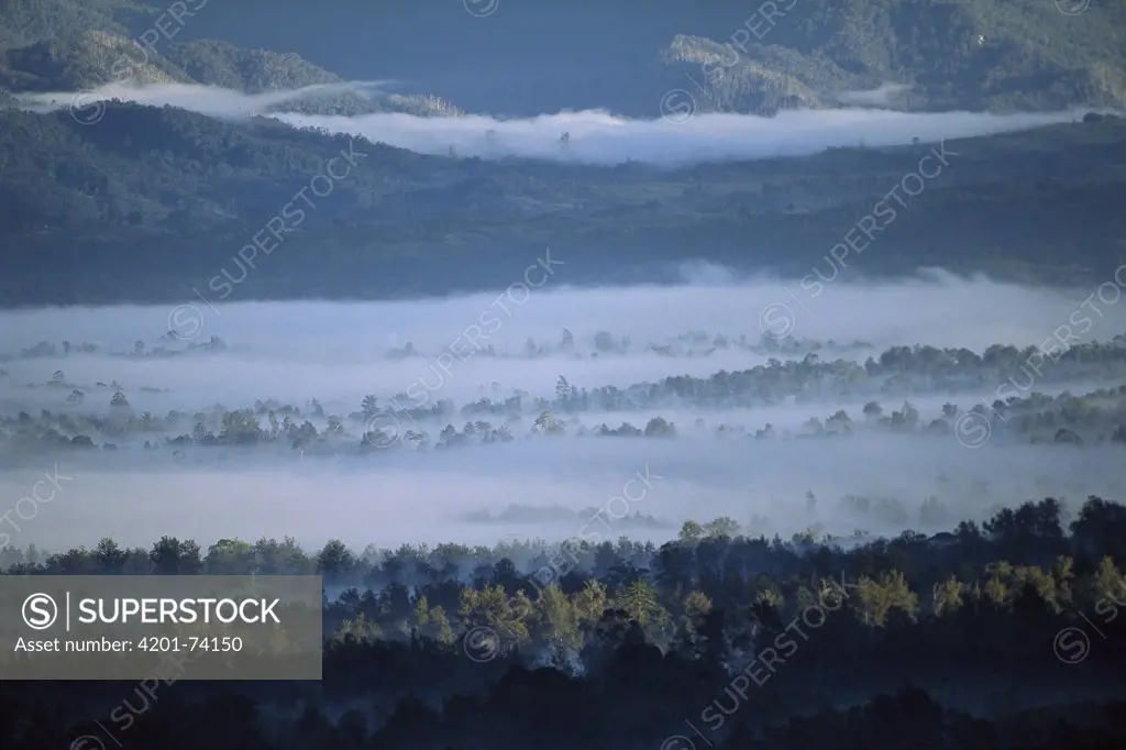 Morning fog in Tari Mountains, homeland of the Huli people, southern highlands of Papua New Guinea