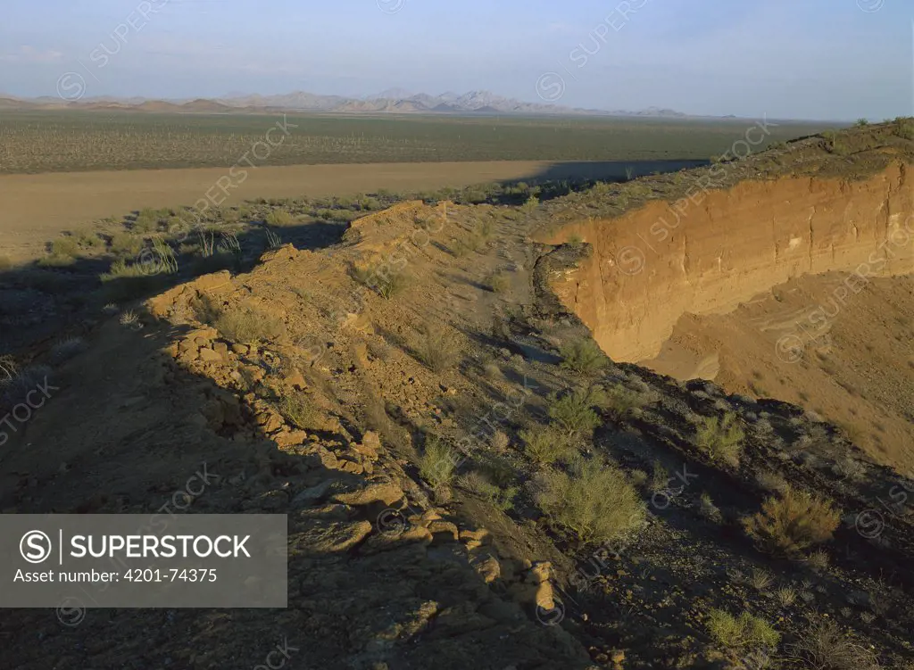 El Colorado Crater, El Pinacate, Gran Desierto de Altar Biosphere Reserve, Sonora, Mexico