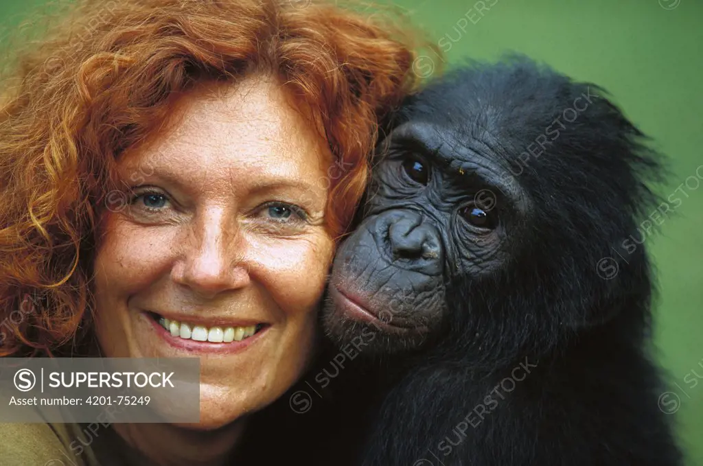 Bonobo (Pan paniscus), with Claudine Andre, manager, ABC Sanctuary, Democratic Republic of the Congo