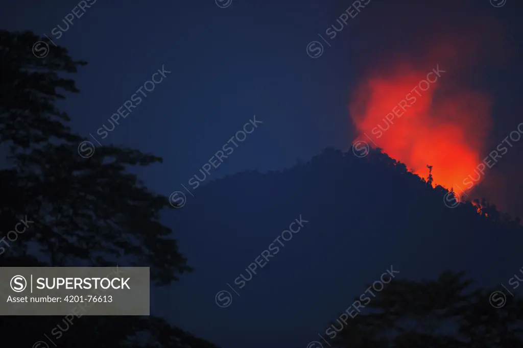 Forest fire very close to Gunung Leuser National Park, Sumatra, Indonesia
