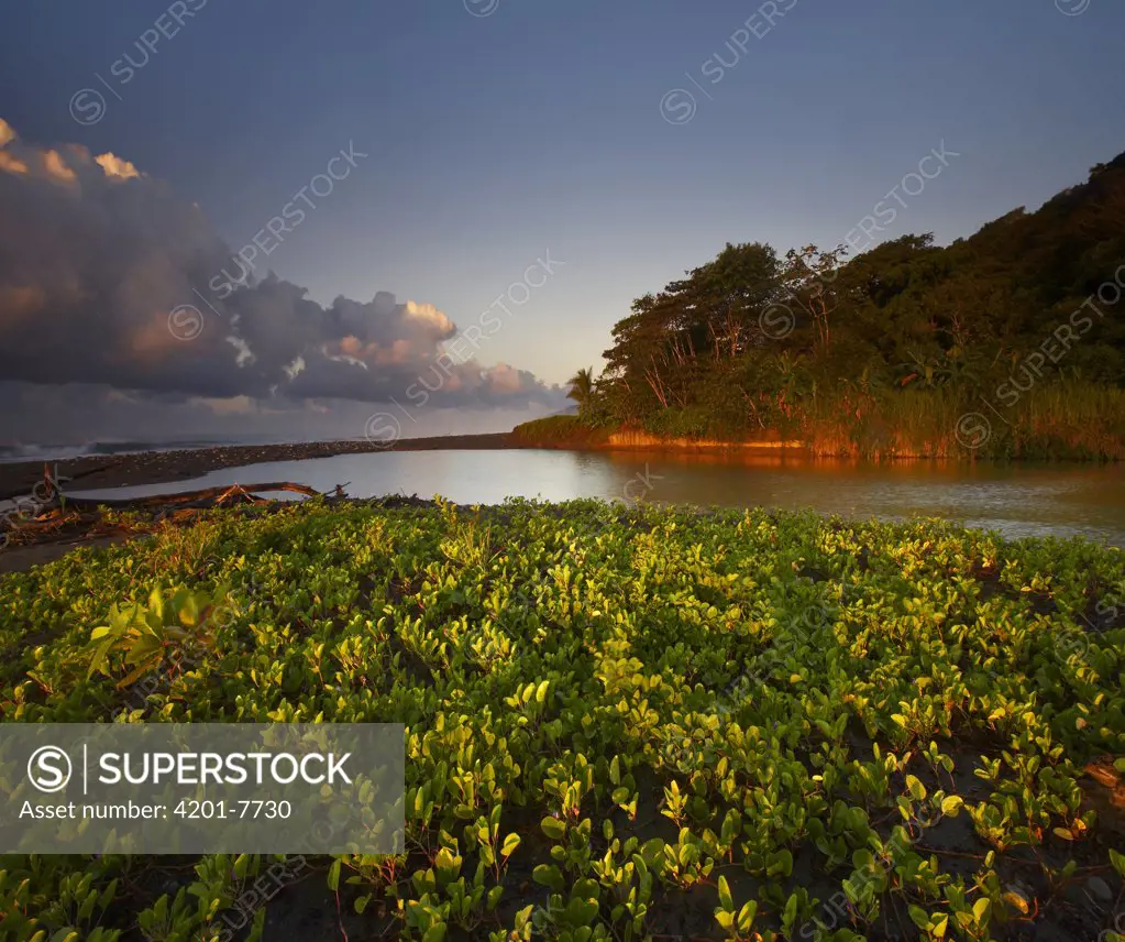 Lagoon near coastline, Corcovado National Park, Costa Rica