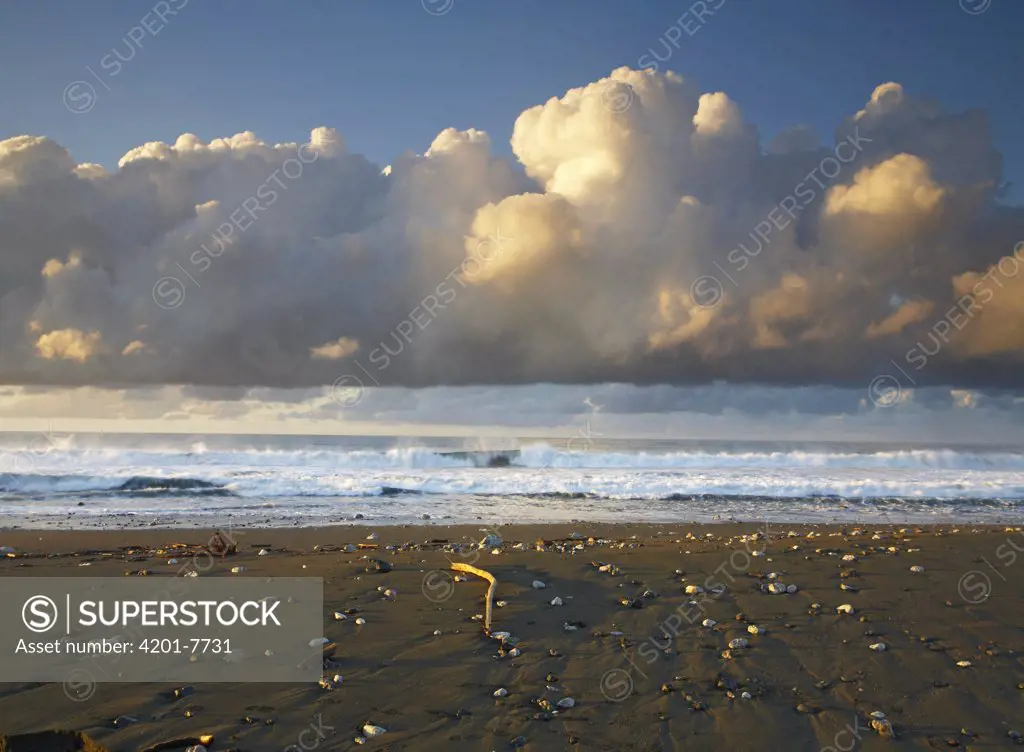 Beach and waves, Corcovado National Park, Costa Rica
