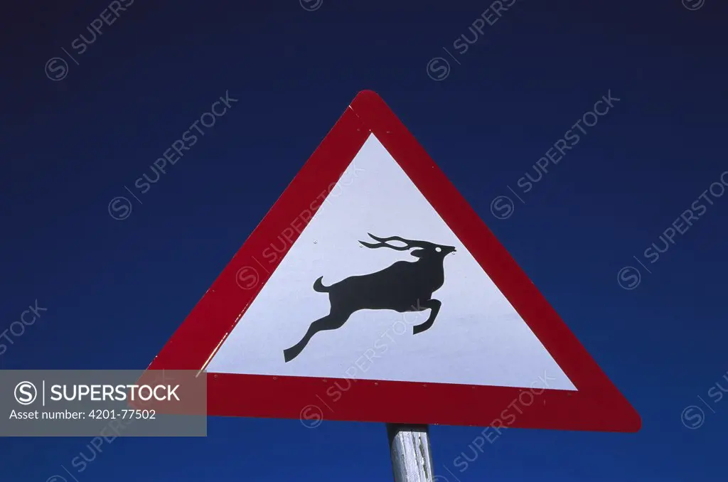 Beware of animals road sign, South Africa