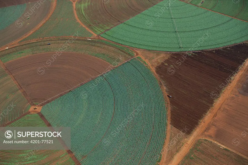 Aerial view of agricultural fields, Gauteng, South Africa