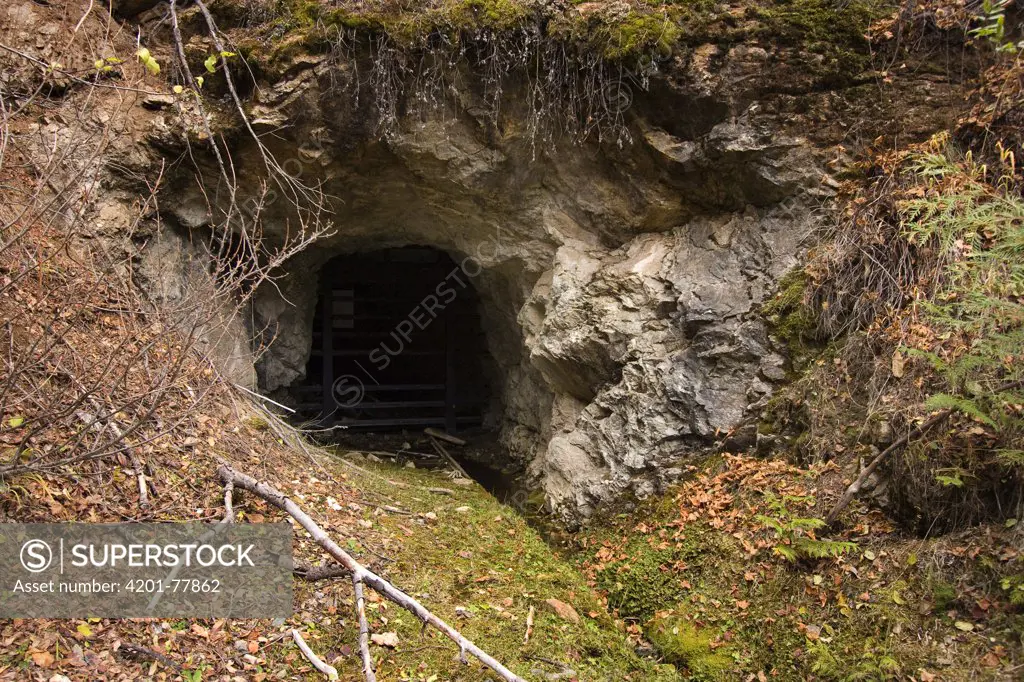 Bat gate at entrance to Gold Stake Mine in Coleville National Forest, Washington