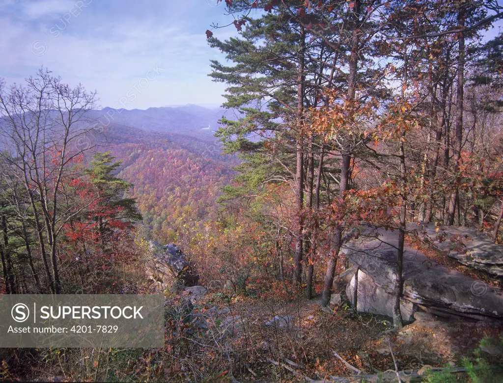 Pinnacles Overlook, Cumberland Gap National Historical Park, Kentucky
