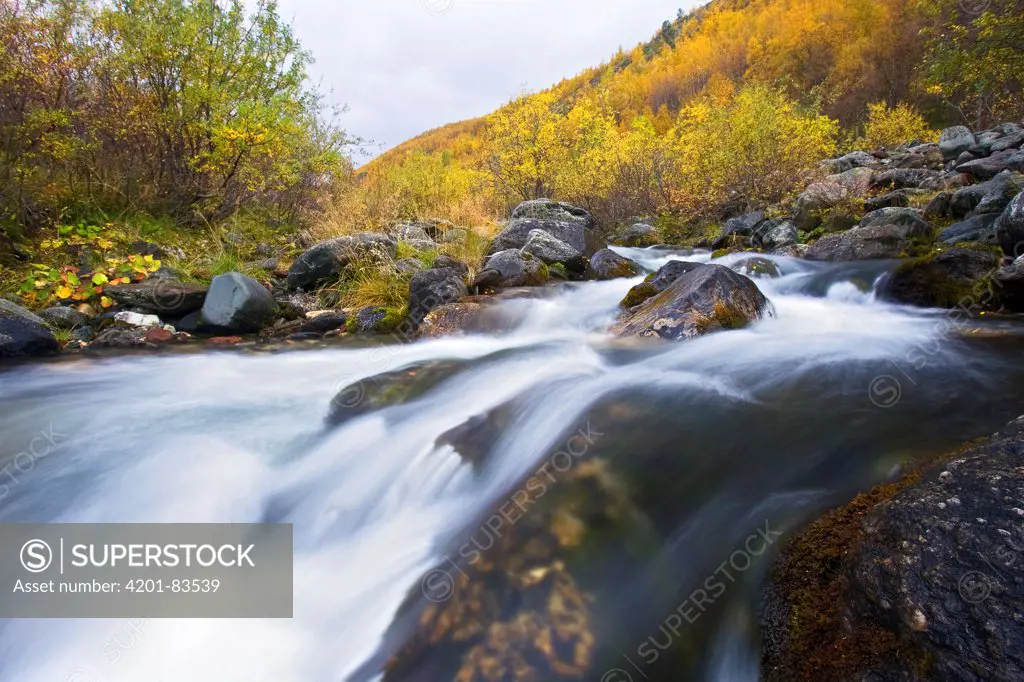 River in autumn, Grimsdalen, Rondane, Norway