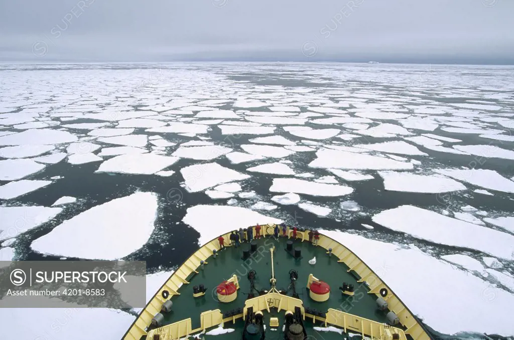 Tourists on Russian icebreaker breaking through pack ice, Antarctica