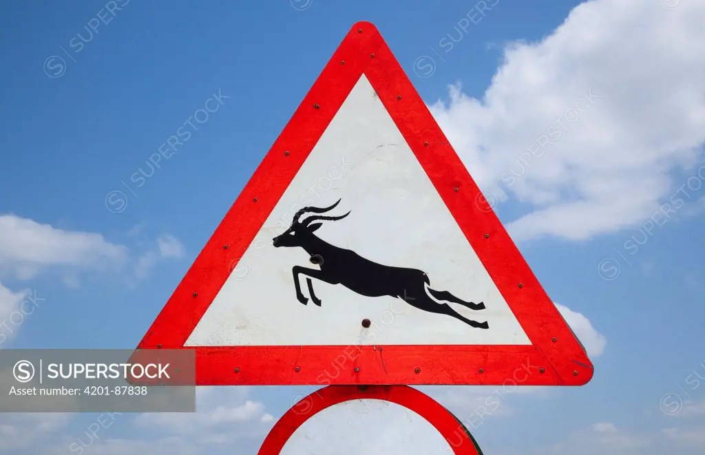 Animal crossing road sign showing leaping antelope, Kwazulu Natal, South Africa