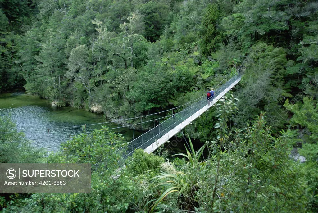 Hiker crossing suspension bridge, Abel Tasman National Park, South Island, New Zealand