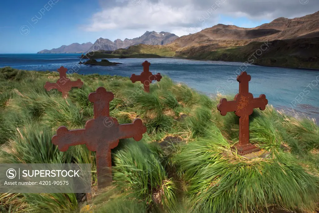 Old cemetery during high winds, Prince Olav Harbour, South Georgia Island