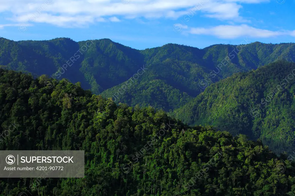 Rainforest covering mountains, Volcan Baru National Park, Bocas del Toro, Panama