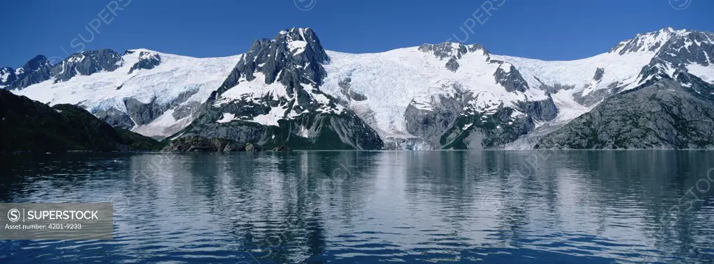 Glaciers flowing down from Harding Ice field, Northwestern Fjord, Kenai Fjords National Park, Alaska
