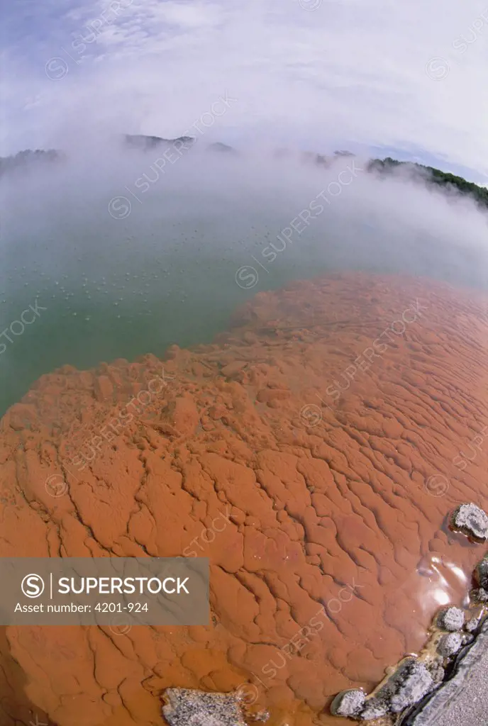 Volcanic lake, champagne pool, constant 74 degrees Celsius, carbon dioxide fizz, minerals include gold, silver, mercury, sulfur, arsenic, thallium and antimony, Champagne Pool, Waiotapu, Rotorua, New Zealand