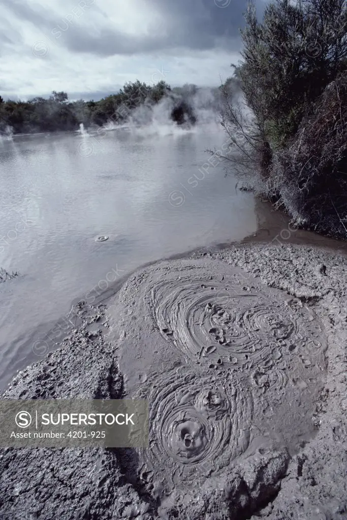 Volcanic mud pots, fine graphite mud boiling at high temperatures, Rotorua, New Zealand
