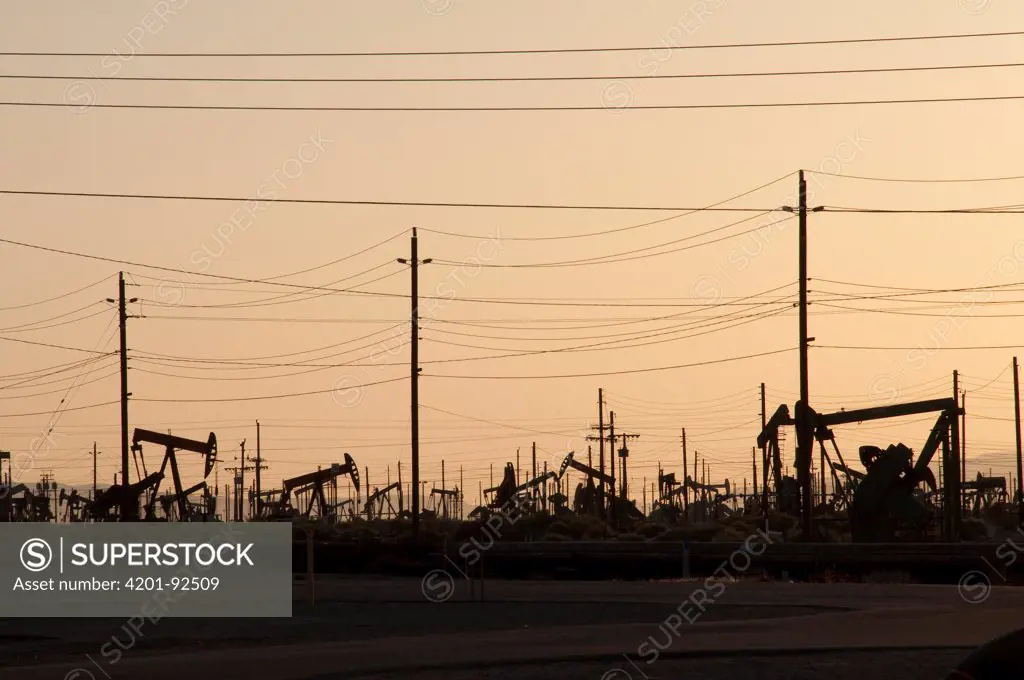 Oil rigs near Bakersfield, southern California
