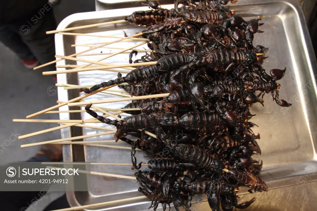 Scorpions scewered for sale as food, Xiao Chi Jie Market, Beijing, China