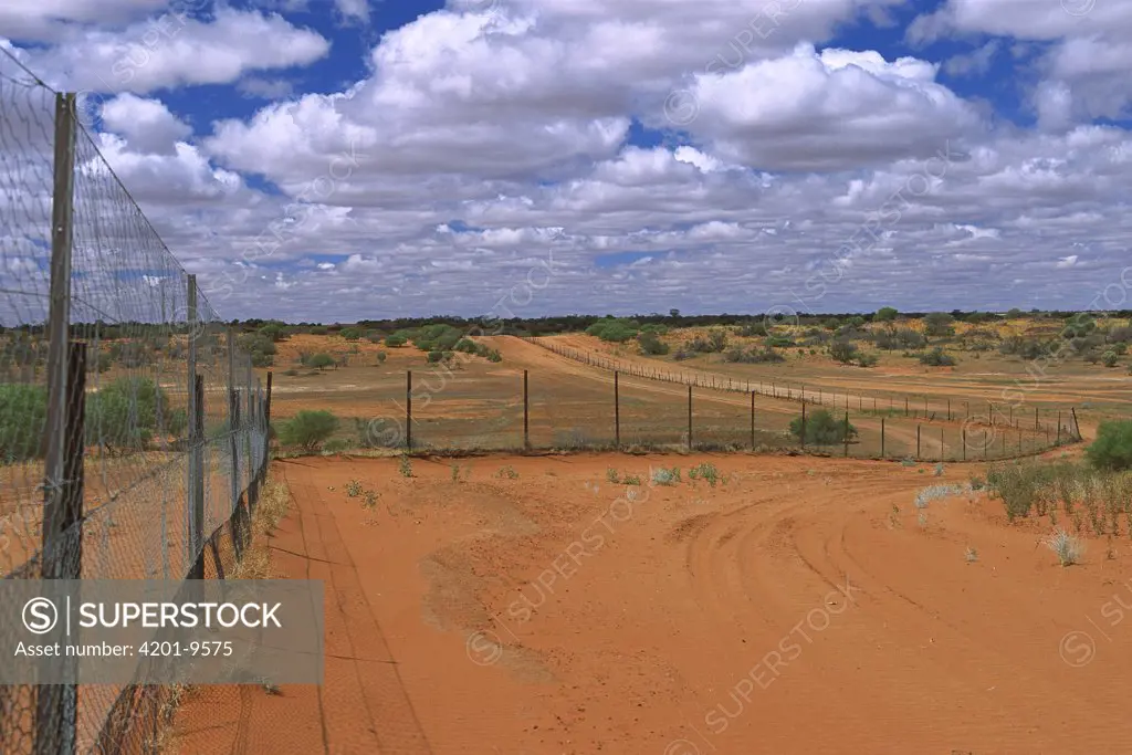 Dingo fence between New South Wales and Queensland, Cameron Corner, Australia