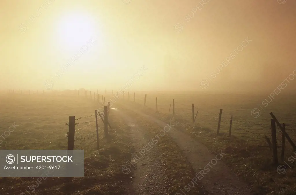 Dirt road, fence and sun shining through morning mist, Bavaria, Germany