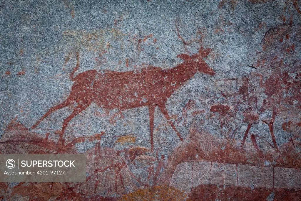 Greater Kudu (Tragelaphus strepsiceros) depicted in San Bushman rock paintings, estimated at around 2000 years old, Nswatugi Cave, Matobo National Park, Zimbabwe