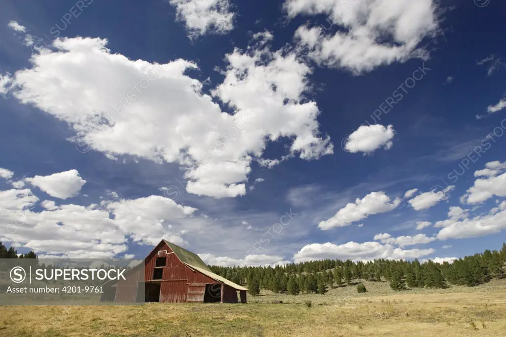Old red barn in pastoral landscape, Oregon