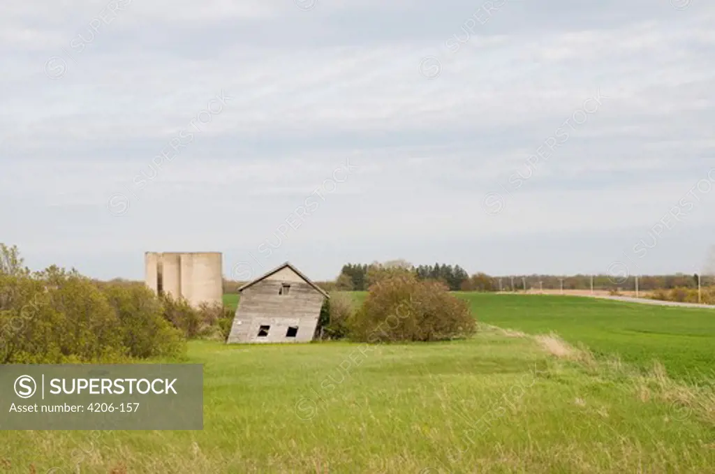 Slanted barn and silo in a field, Valmy, Door County, Wisconsin, USA