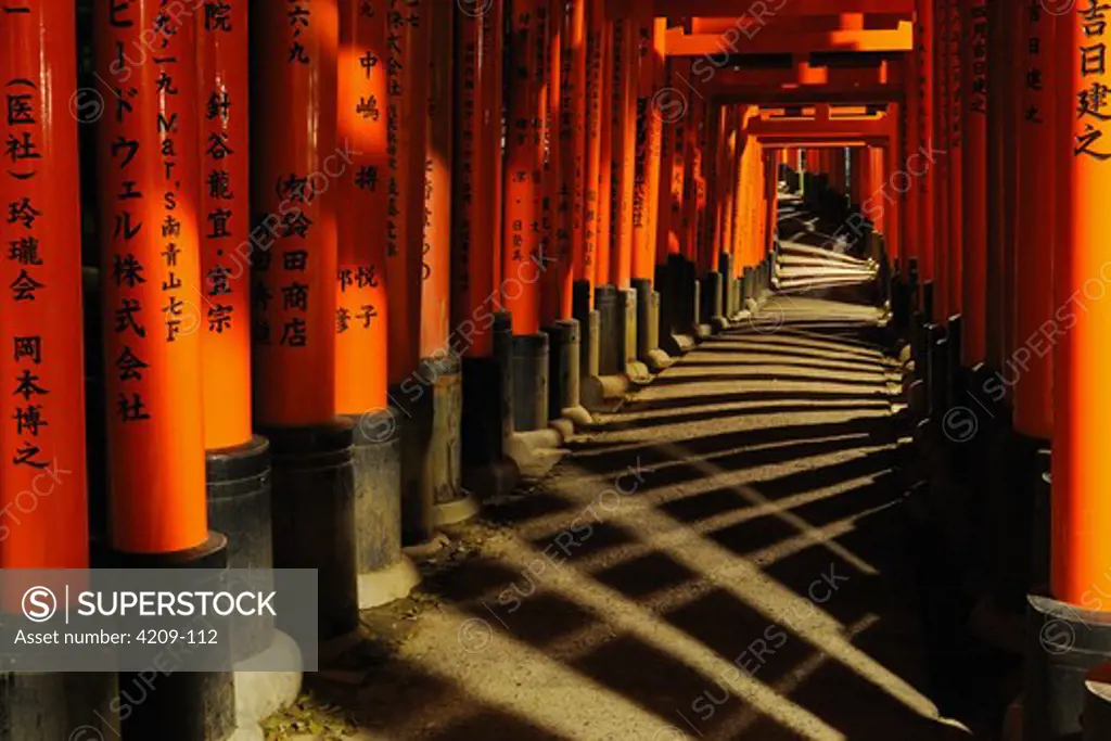Torii gates at a shrine, Fushimi Inari Shrine, Kyoto City, Kyoto Prefecture, Kinki Region, Honshu, Japan
