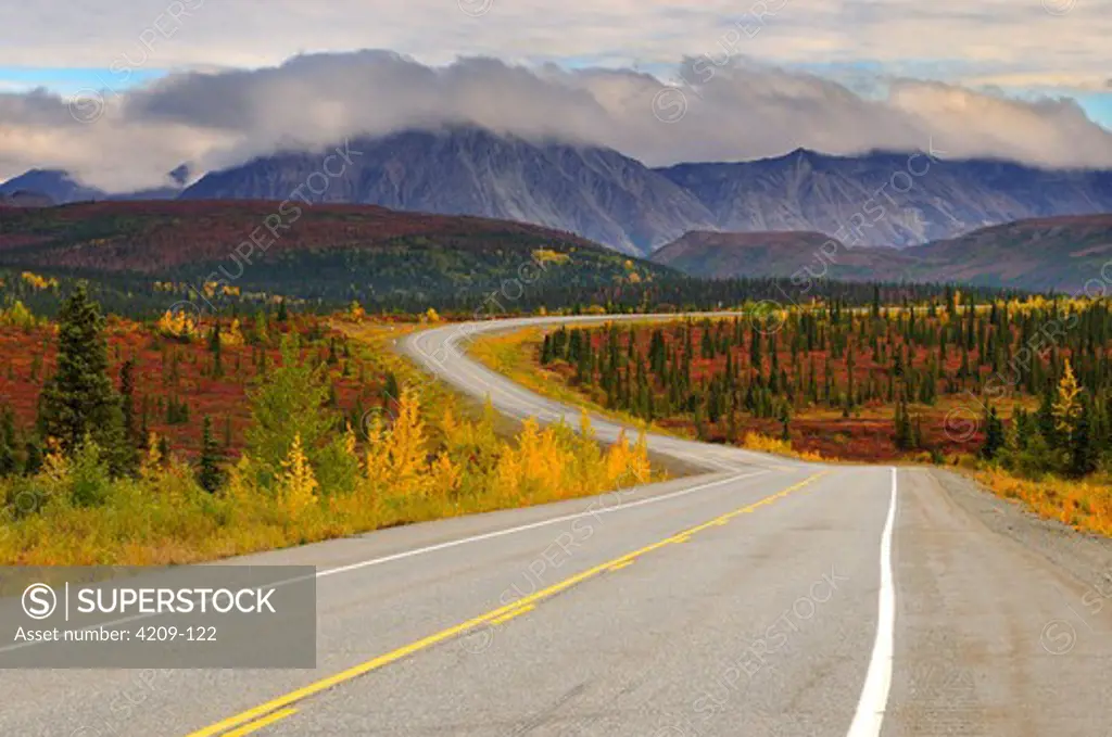Autumn color along the highway, George Parks Highway near Cantwell, Alaska, USA