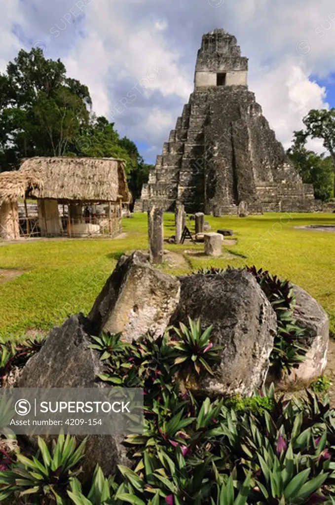 Temple in a forest, Temple Of The Grand Jaguar, Tikal National Park, Tikal, Peten, Guatemala