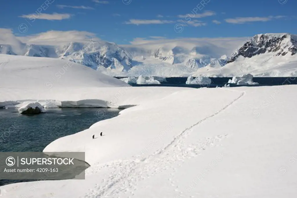 Antarctica, View of Portal Point