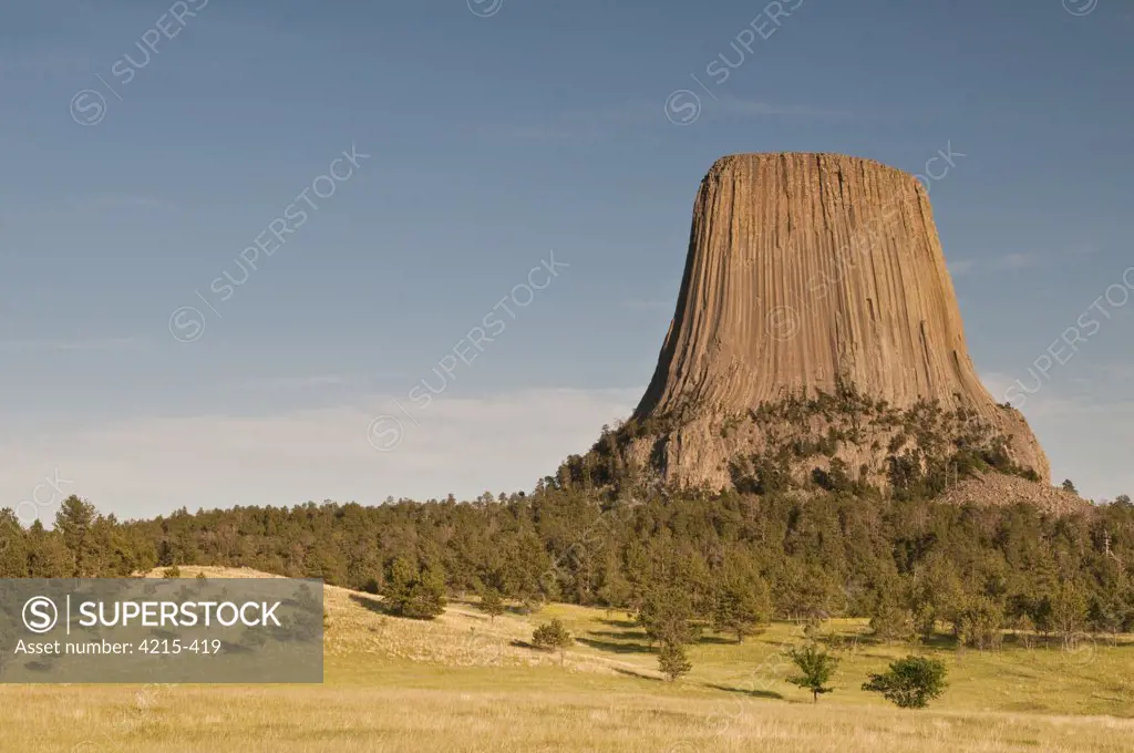 Trees with the butte in a landscape, Devils Tower National Monument, Wyoming, USA