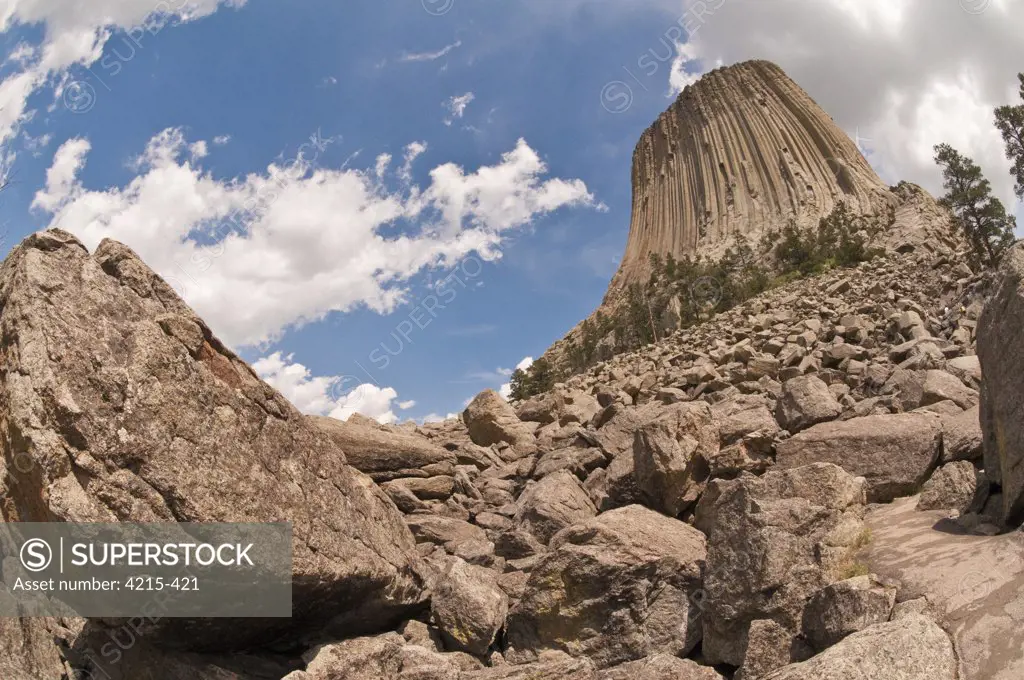 Low angle view the butte, Devils Tower National Monument, Wyoming, USA