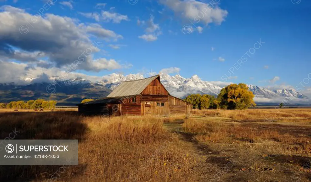 USA, Wyoming, Grand Teton National Park, Thomas Moulton Barn after fresh snow in Tetons