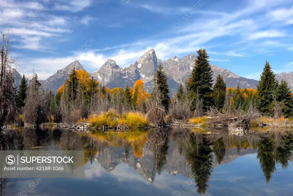 USA, Wyoming, Grand Teton National Park, Schwabacher's Landing, Beaver pond reflections