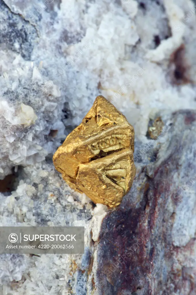 Native Gold - Nevada 