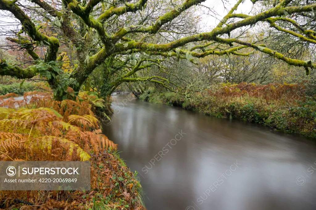 River Fowey. Cornwall - UK.