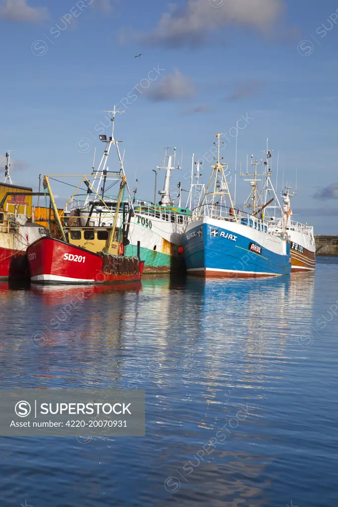 Fishing boats. Newlyn Harbour - Cornwall - UK.