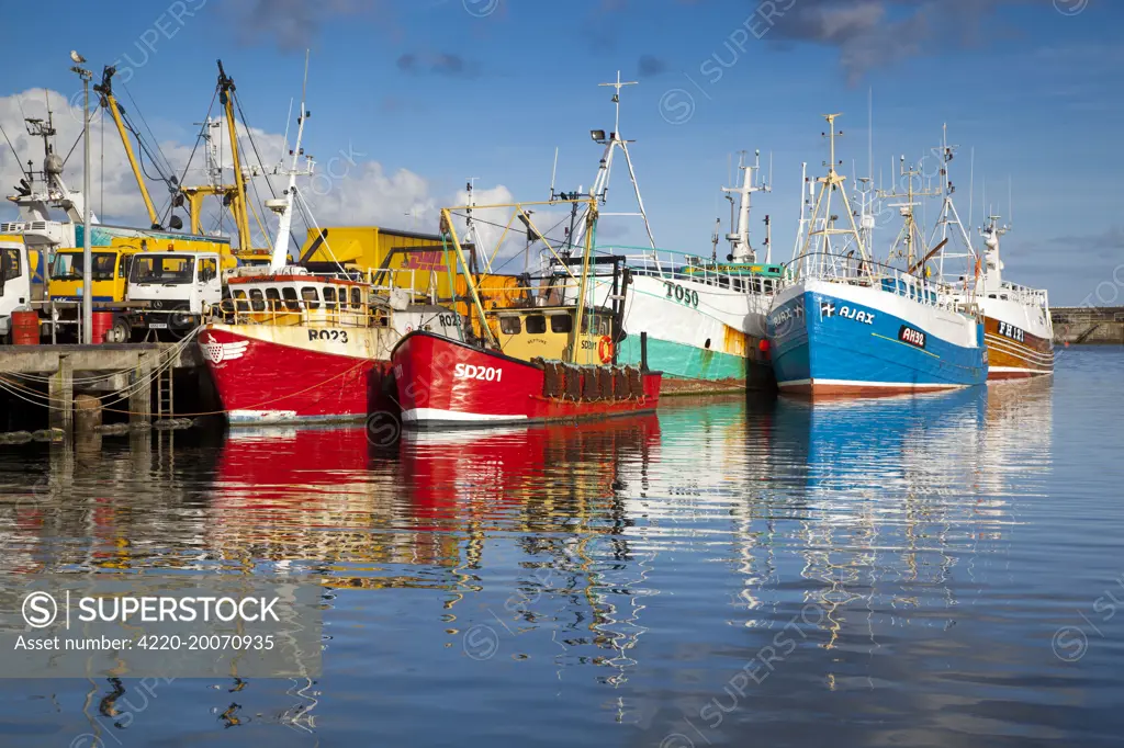 Fishing boats . Newlyn Harbour - Cornwall - UK.