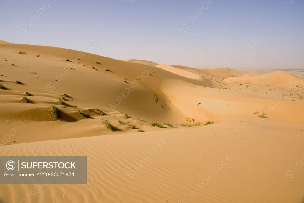 Sand dunes. Abu Dhabi - United Arab Emirates.