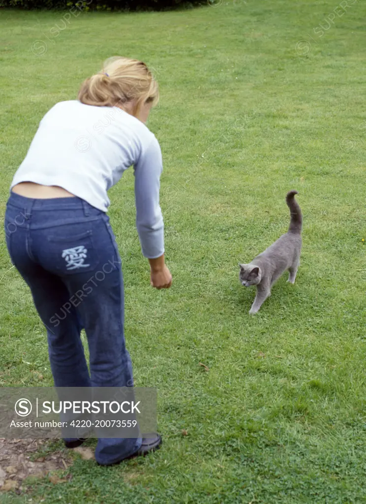 Cat - approaching girl after being called 