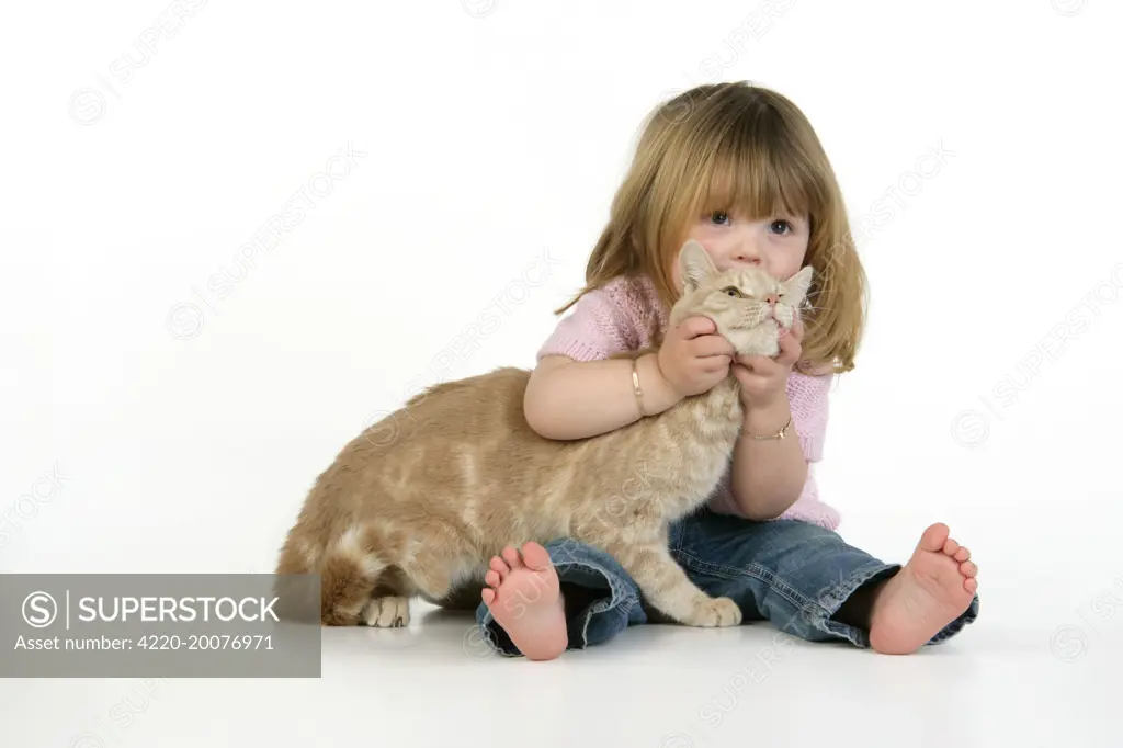 Cat. Tolerant cat being held by child 