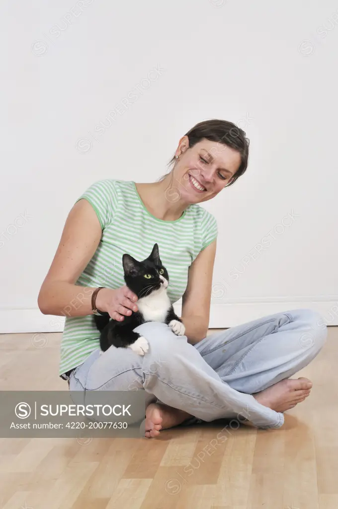Cat - sitting on owners lap being stroked 
